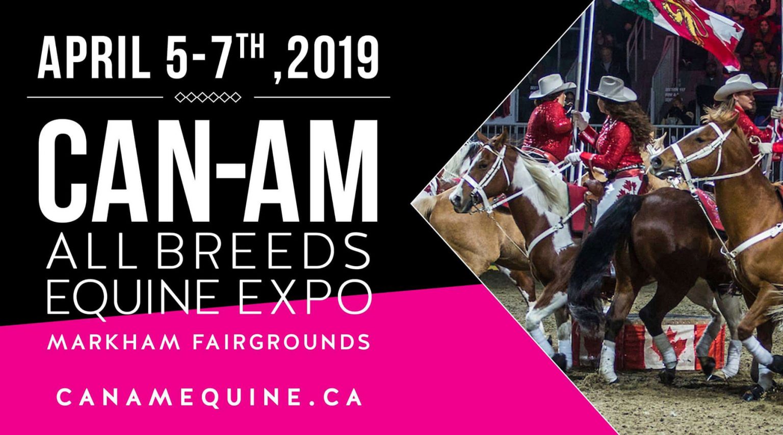 Pulse Equine at CanAm Pulse PEMF