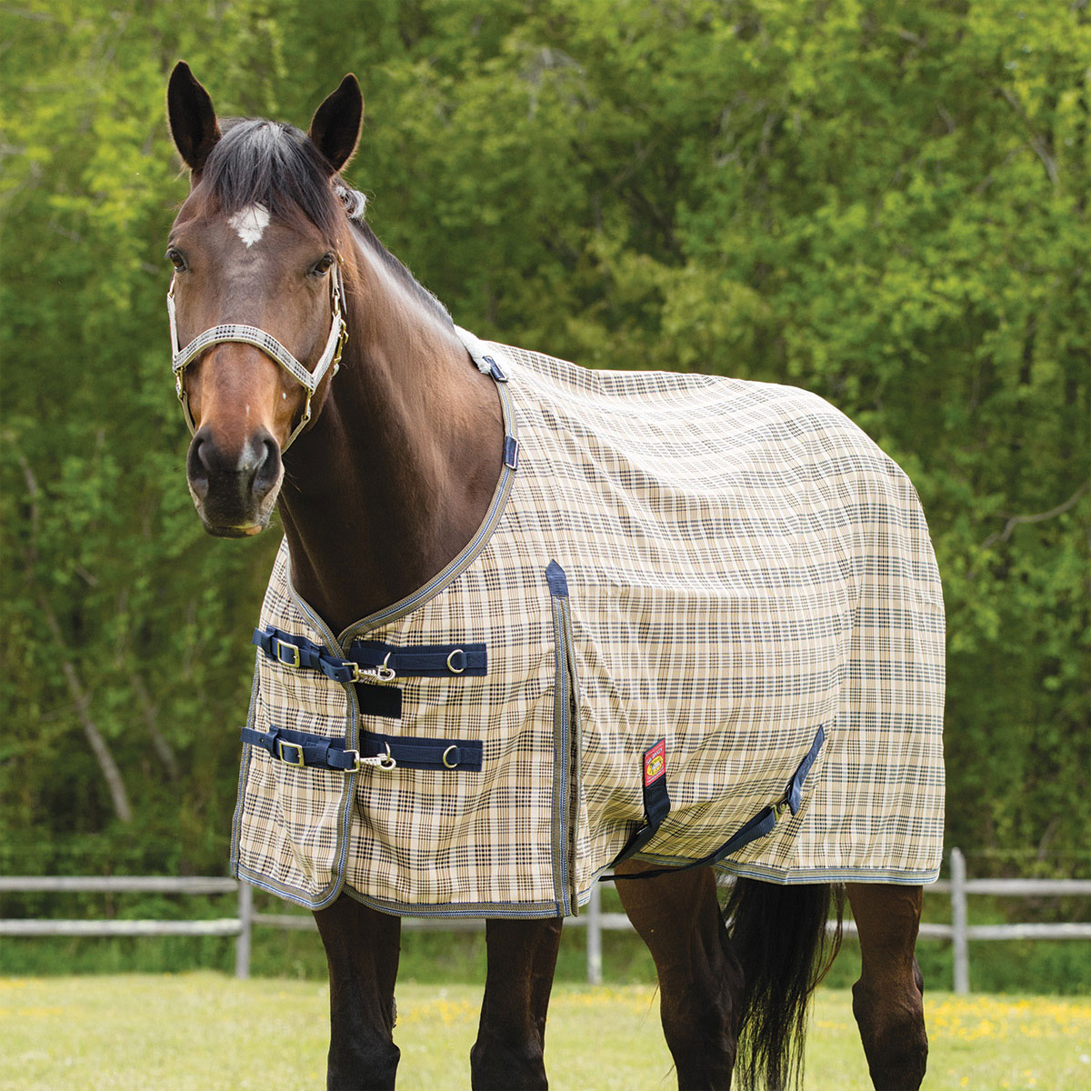 Blanket Guide Pulsing & Blanket Best Practices