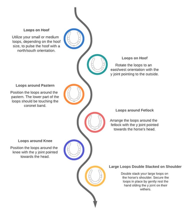 Equine Laminitis & PEMF Support for a Better Stride