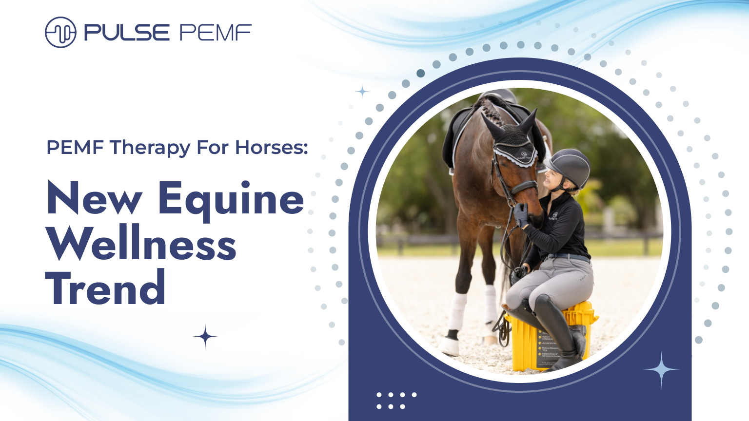 PEMF Therapy For Horses New Equine Wellness Trend Pulse PEMF