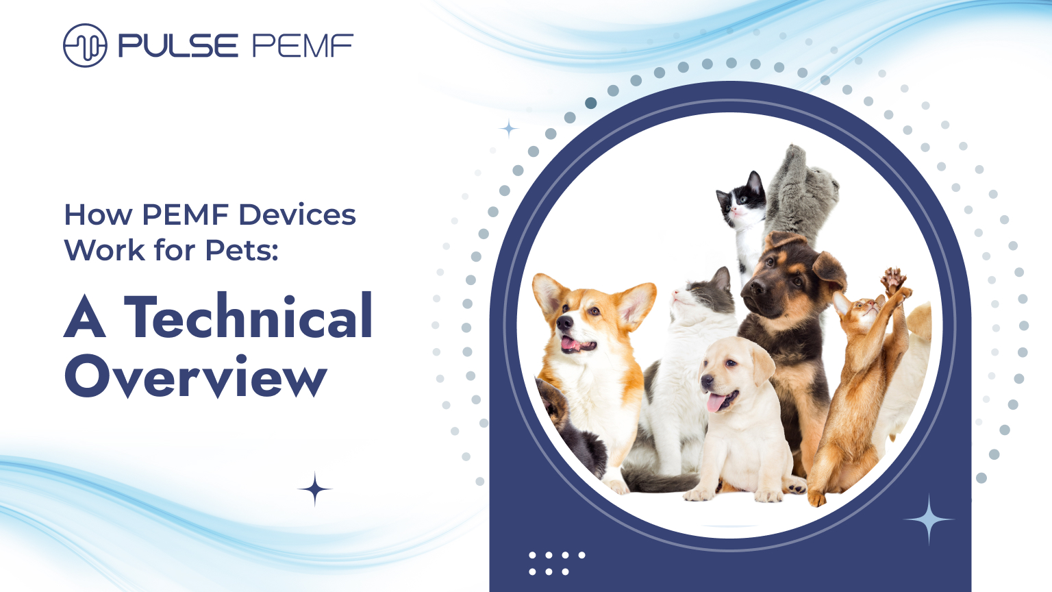 How PEMF Devices Work for Pets A Technical Overview Pulse PEMF