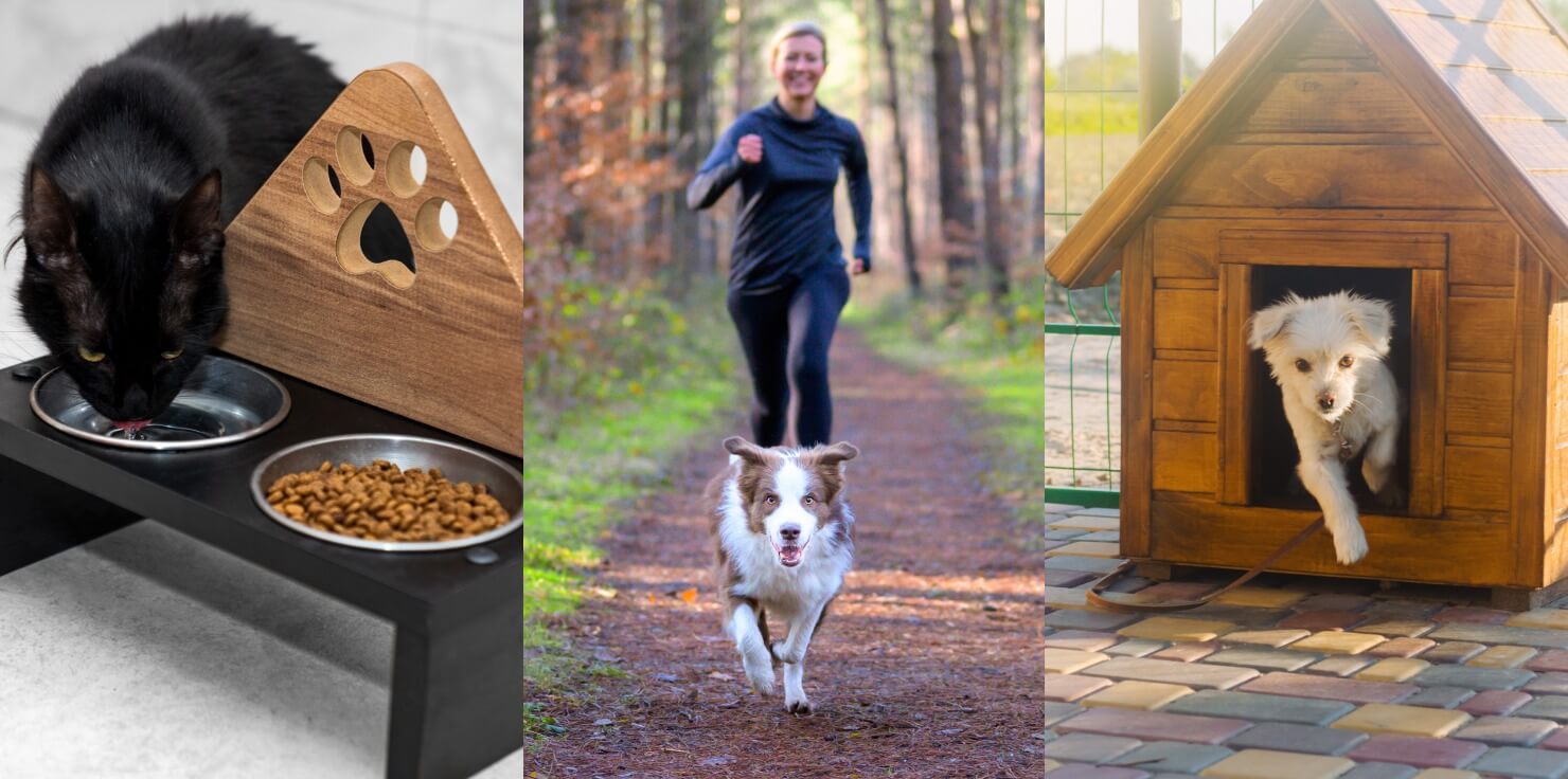 Essential Tips for Animal Owners This Climate Change